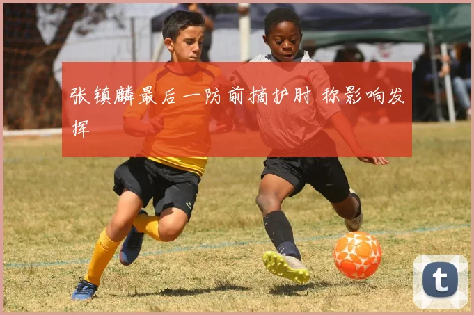 张镇麟最后一防前摘护肘 称影响发挥