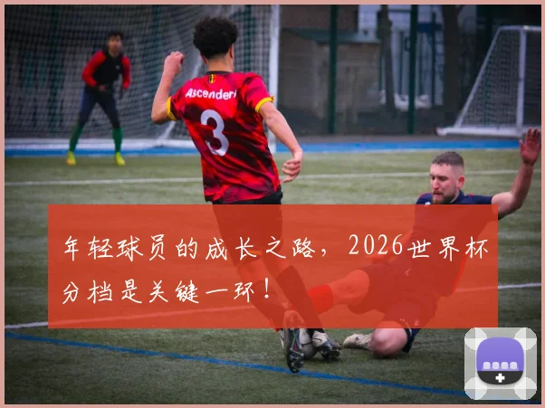 年轻球员的成长之路，2026世界杯分档是关键一环！