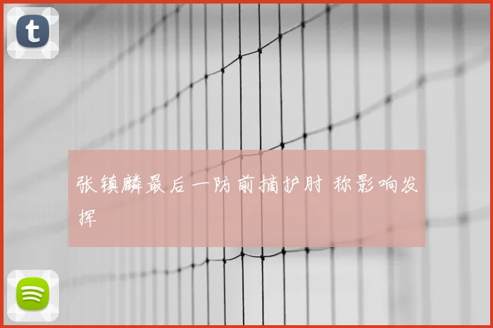 张镇麟最后一防前摘护肘 称影响发挥