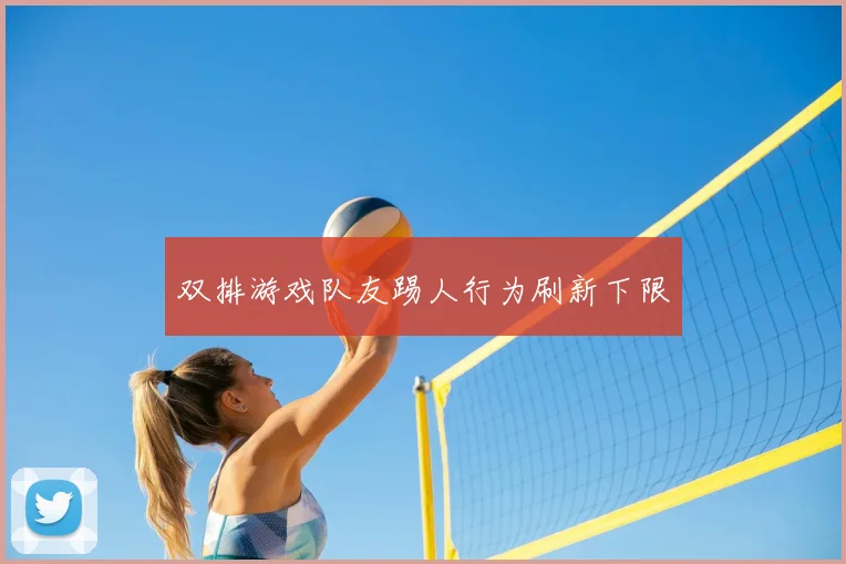 双排游戏队友踢人行为刷新下限
