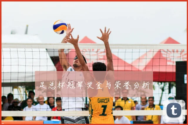 足总杯冠军奖金与荣誉分析
