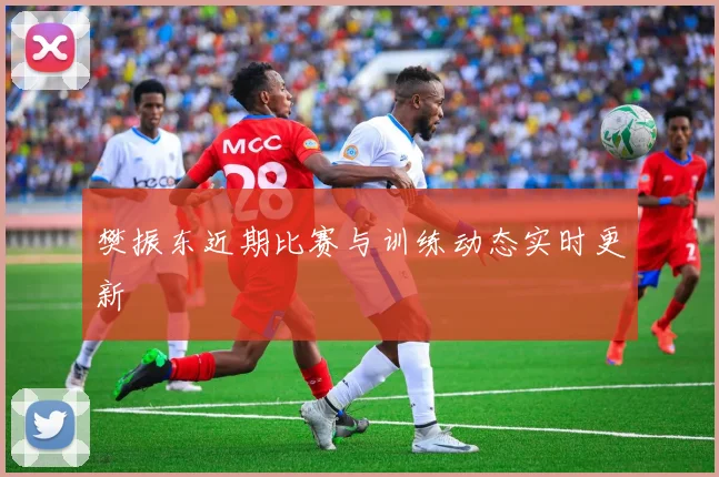 樊振东近期比赛与训练动态实时更新