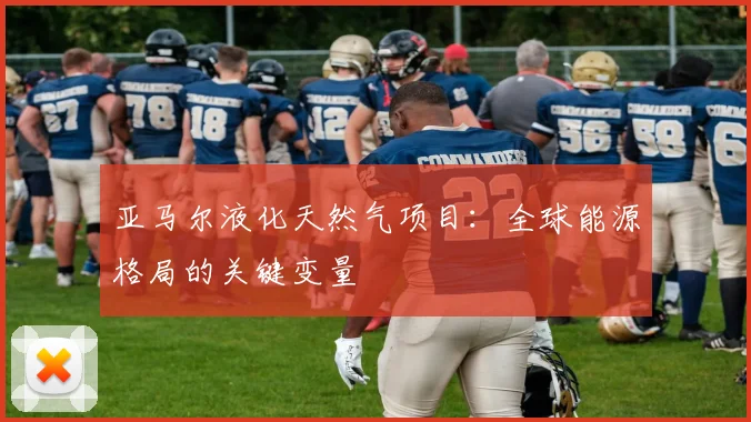 亚马尔液化天然气项目:全球能源格局的关键变量
